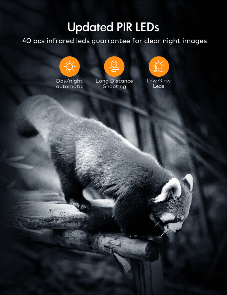 APEMAN Wildlife Camera H70