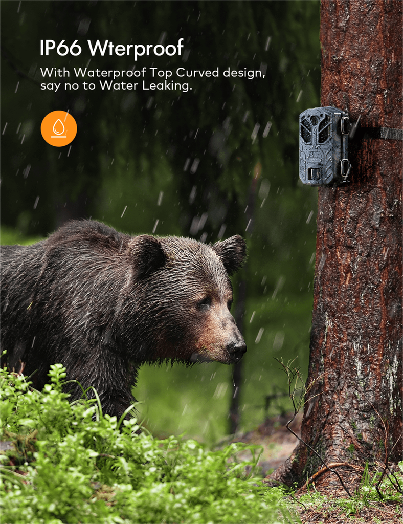 APEMAN Wildlife Camera H70