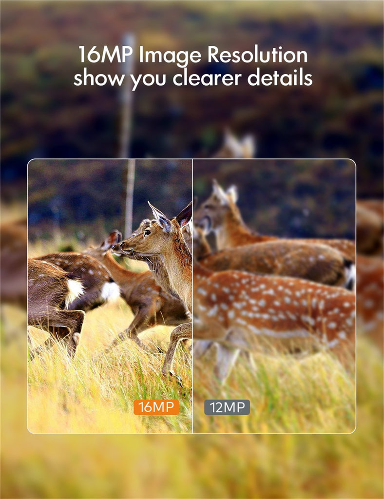 APEMAN Trail Camera H45