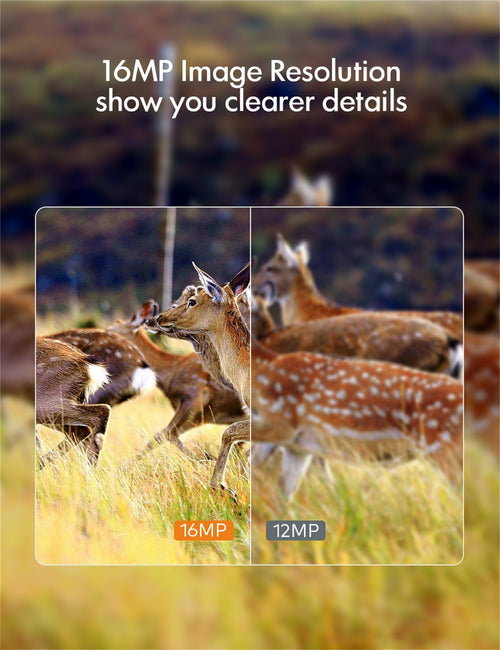 APEMAN Trail Camera H45