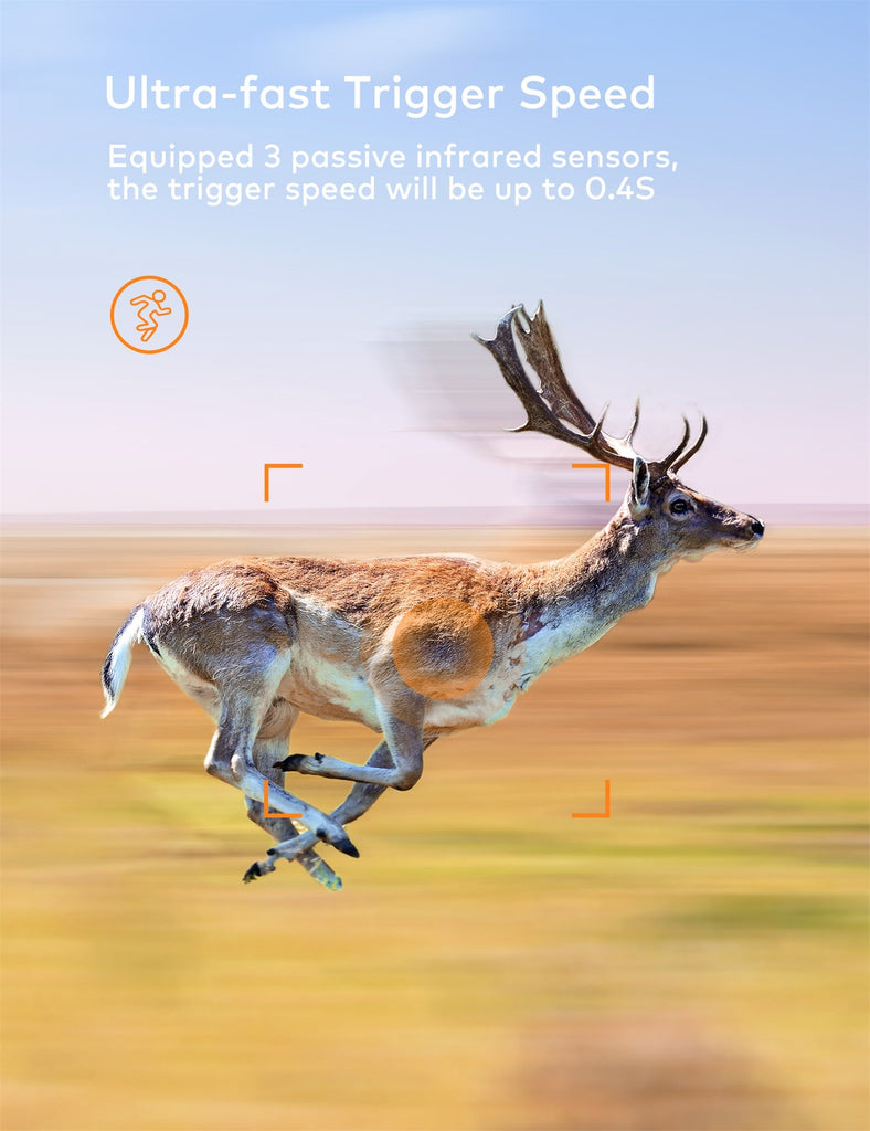 APEMAN Trail Camera H60