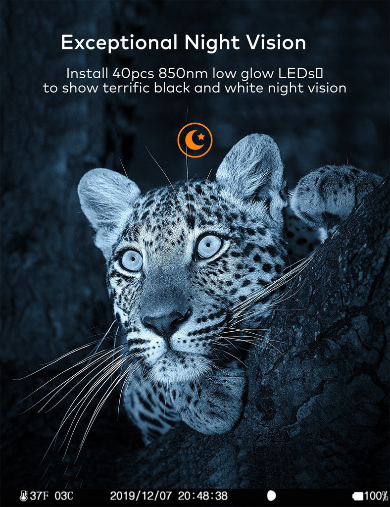 APEMAN Trail Camera H60