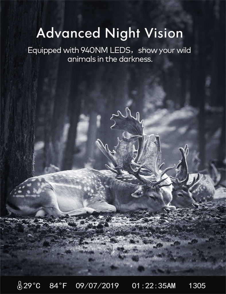 APEMAN Trail Camera H45