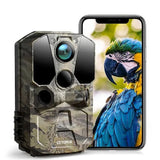 Apeman Infrared Hunting Trail Camera, 20 Megapixels, 1080P HD video mode