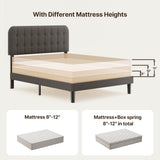 Asofer Queen Bed Frame with Headboard, Noise-Free, No Box Spring Needed, Beige