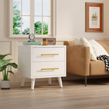 2 Drawer Dresser, Chest of Drawers Nightstand Storage Tower Storage Wooden Dresser for Living Room, Bedroom, Hallway - White