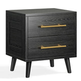 Nightstands with 2 Drawers,Beside Table for Bedroom Set of 2,Black